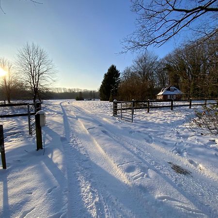 Vakantiewoning Heidebos In Het Nationaal Park Hoge Kempen Opglabbeek 외부 사진
