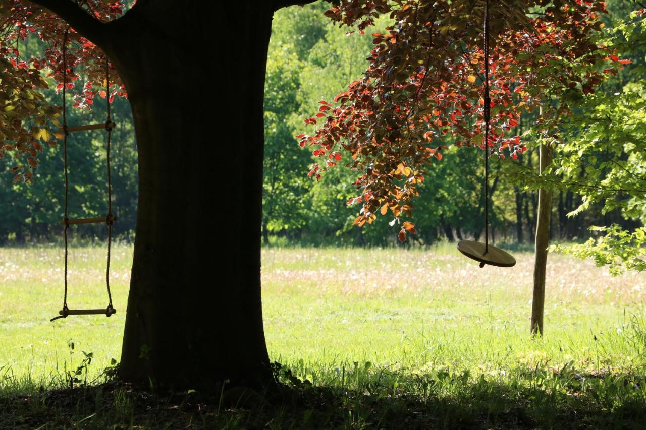 Vakantiewoning Heidebos In Het Nationaal Park Hoge Kempen Opglabbeek 외부 사진