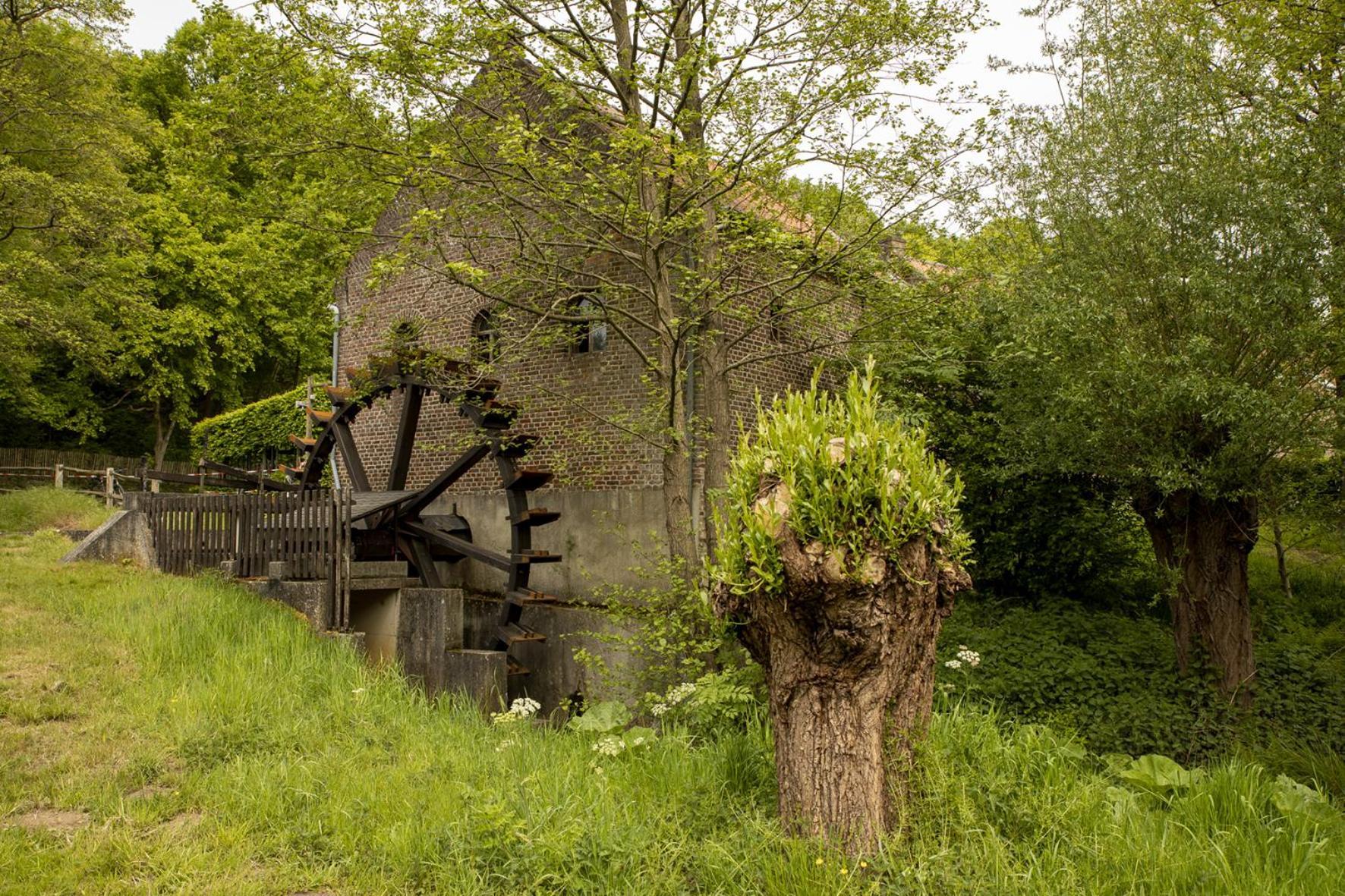 Vakantiewoning Heidebos In Het Nationaal Park Hoge Kempen Opglabbeek 외부 사진