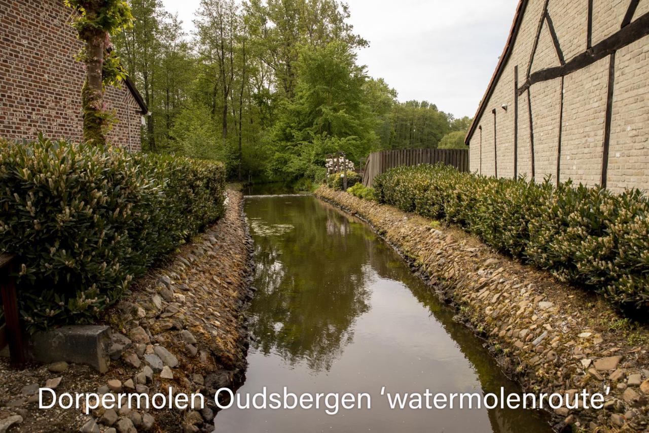 Vakantiewoning Heidebos In Het Nationaal Park Hoge Kempen Opglabbeek 외부 사진