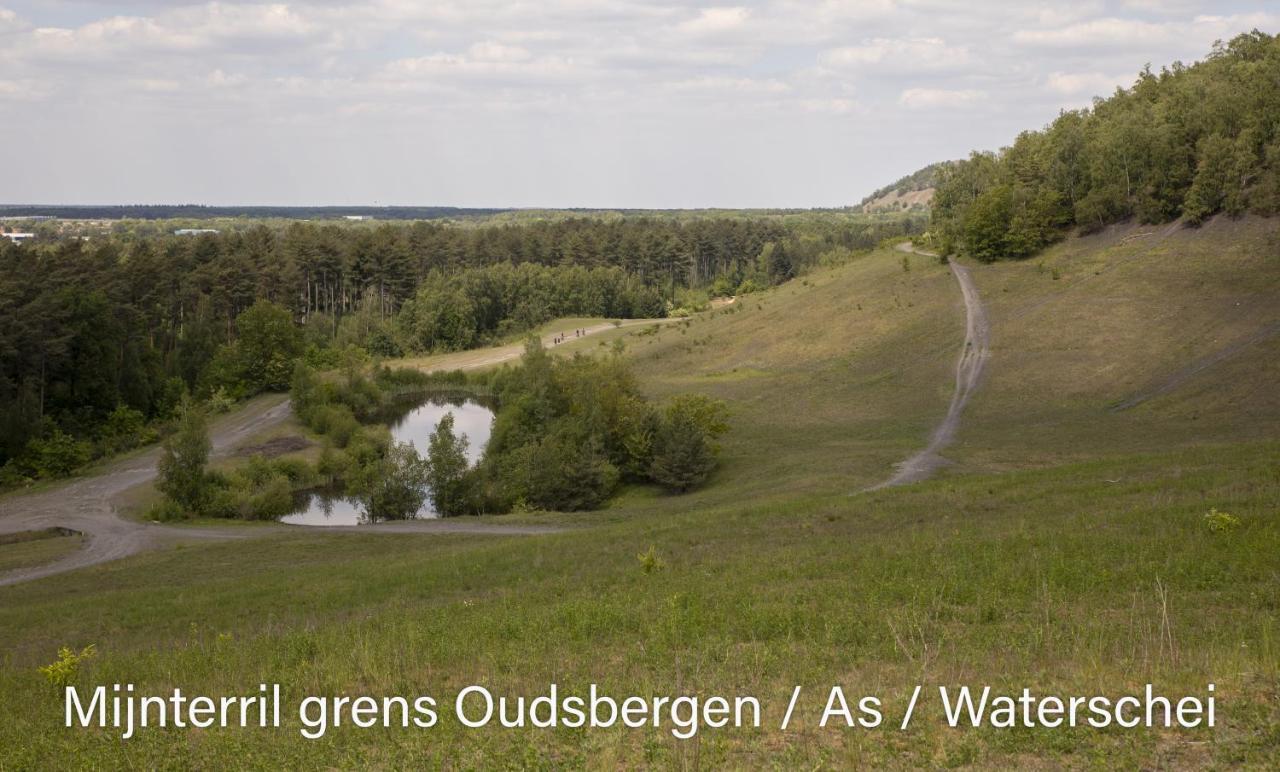 Vakantiewoning Heidebos In Het Nationaal Park Hoge Kempen Opglabbeek 외부 사진