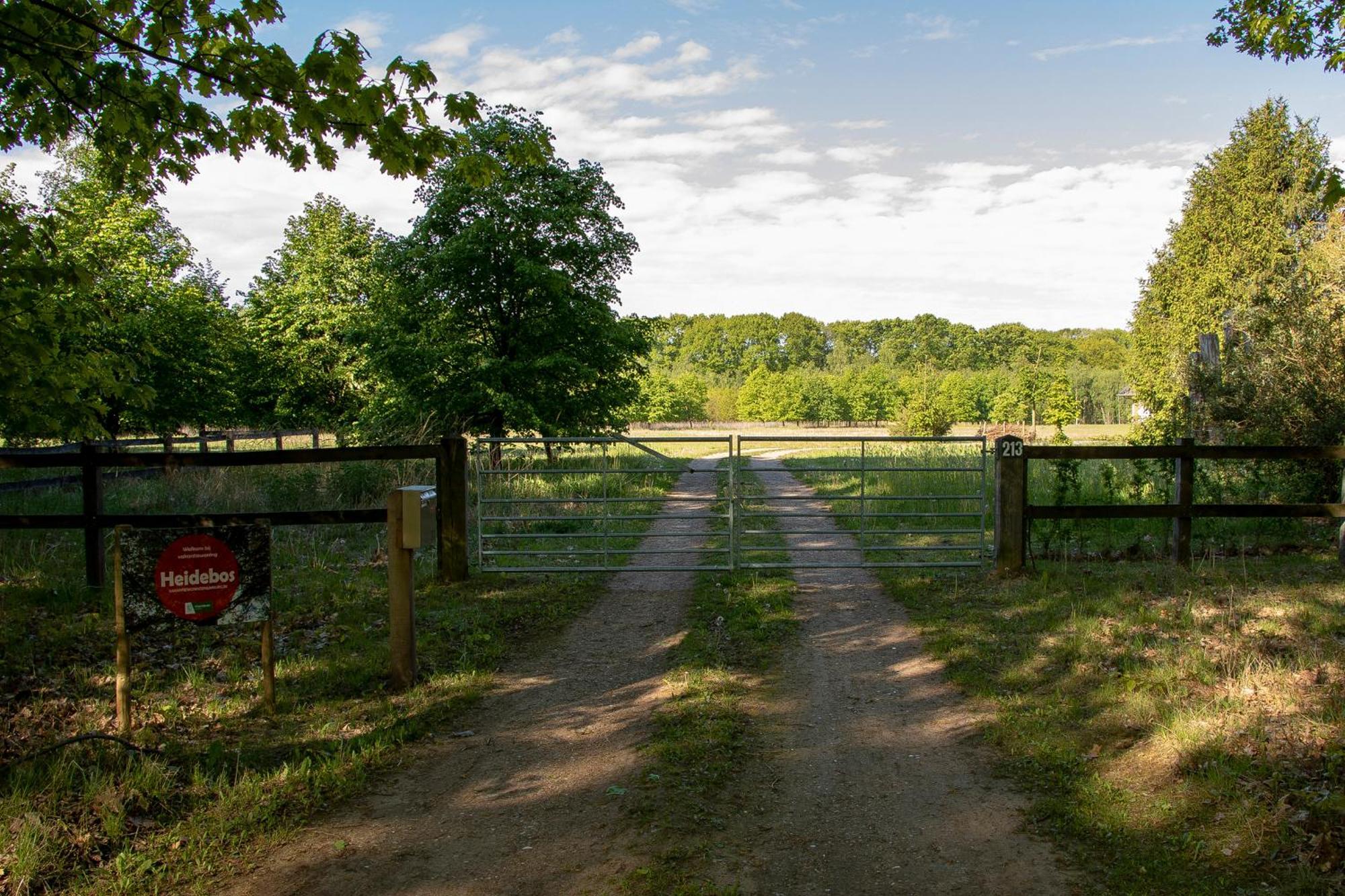 Vakantiewoning Heidebos In Het Nationaal Park Hoge Kempen Opglabbeek 외부 사진