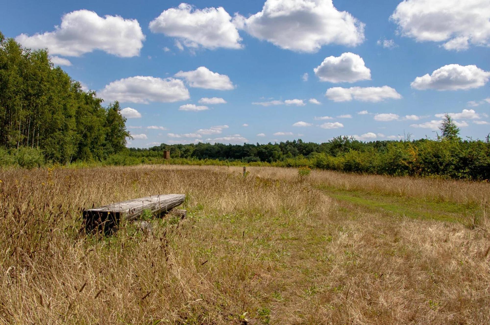 Vakantiewoning Heidebos In Het Nationaal Park Hoge Kempen Opglabbeek 외부 사진