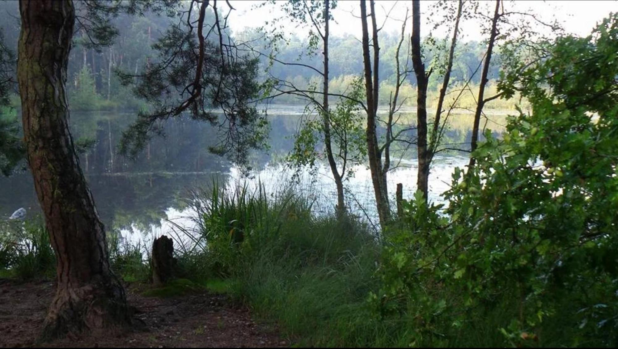 Vakantiewoning Heidebos In Het Nationaal Park Hoge Kempen Opglabbeek 외부 사진