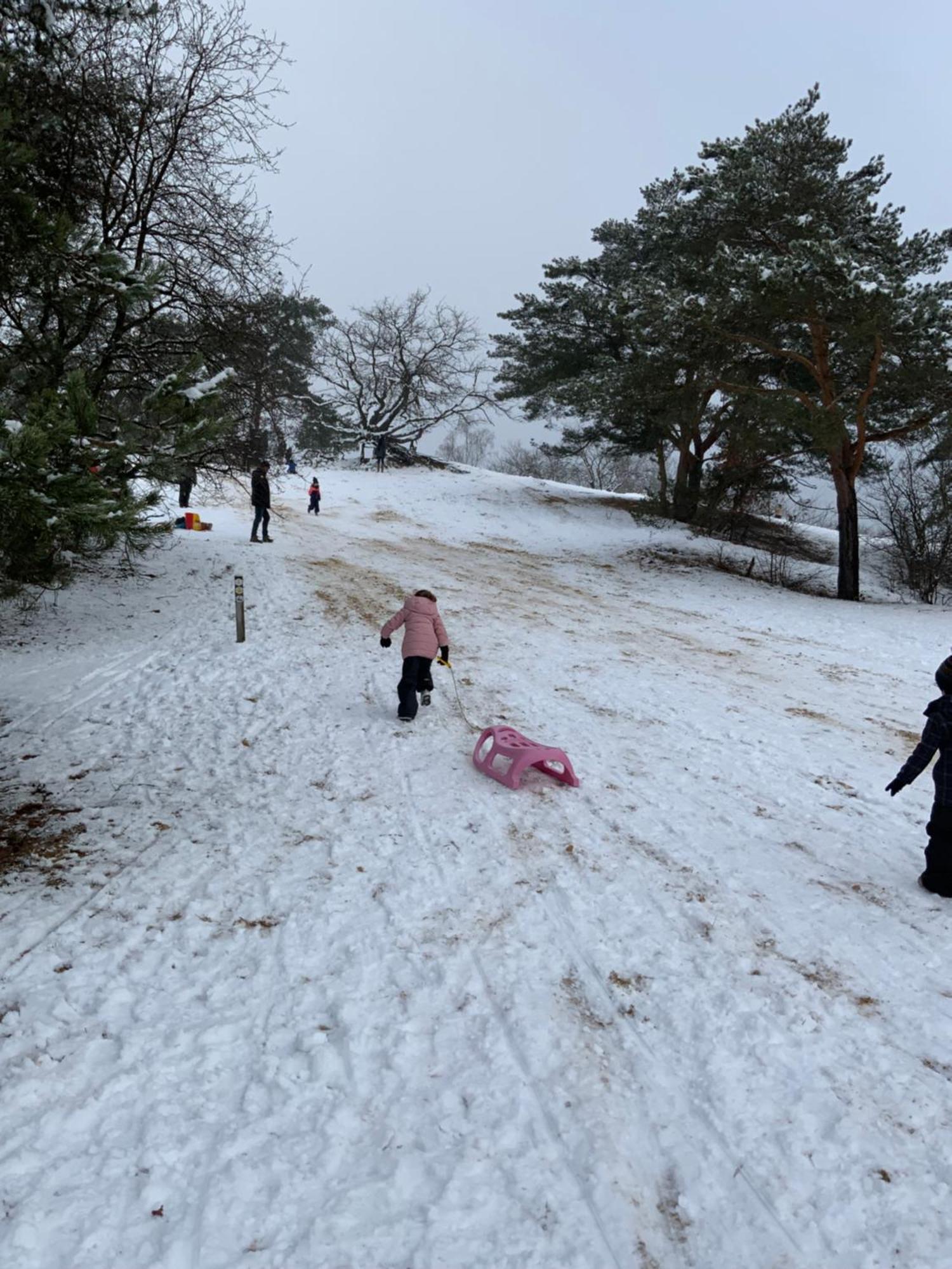 Vakantiewoning Heidebos In Het Nationaal Park Hoge Kempen Opglabbeek 외부 사진