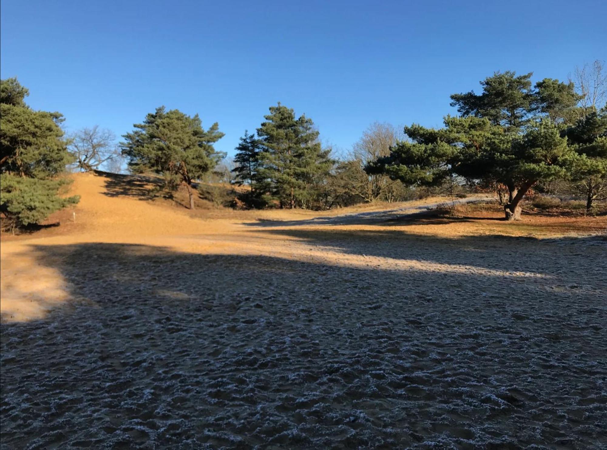 Vakantiewoning Heidebos In Het Nationaal Park Hoge Kempen Opglabbeek 외부 사진