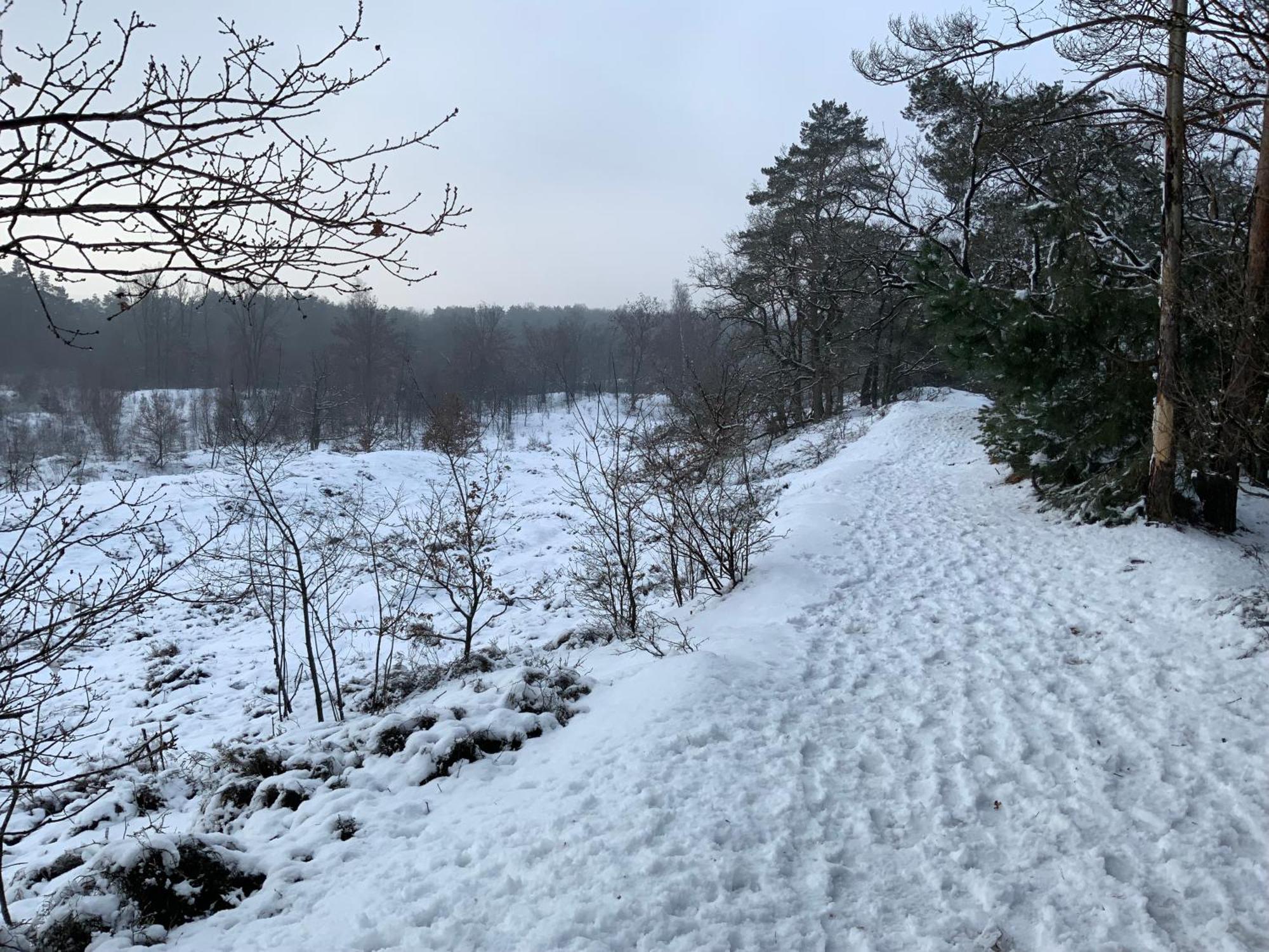 Vakantiewoning Heidebos In Het Nationaal Park Hoge Kempen Opglabbeek 외부 사진